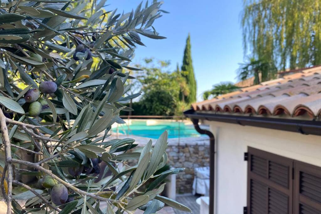 Villa Relais San Sebastiano Pietra Ligure Exterior foto